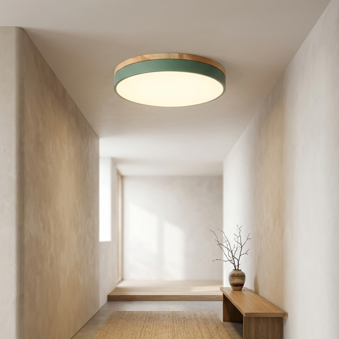 Round Disc Ceiling Light – Flat, Flush-Mounted Light