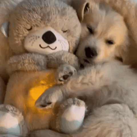 Calming Cuddle Toy