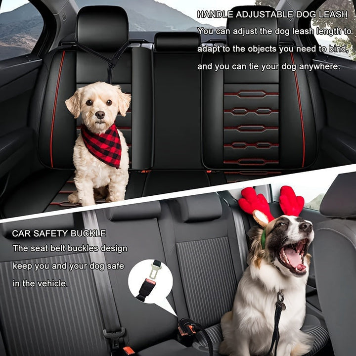 Adjustable Bungee Dog Leash – Shock-Absorbing and Reflective for Large Dogs