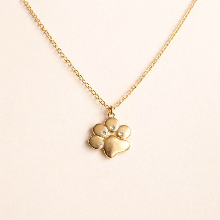 Gold Necklace with Little Paw Charm