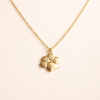 Gold Necklace with Little Paw Charm