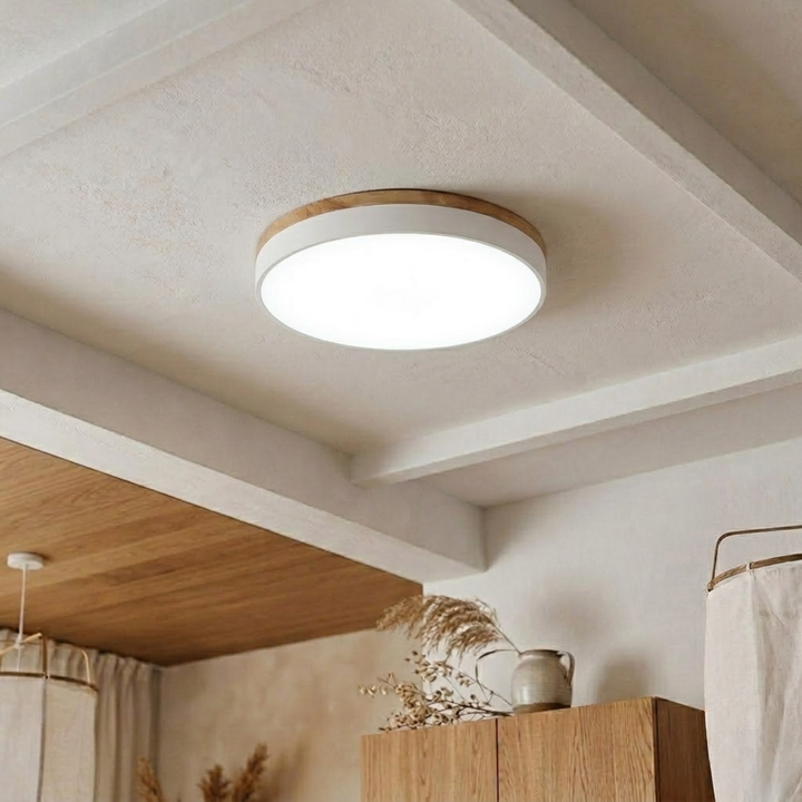 Round Disc Ceiling Light – Flat, Flush-Mounted Light