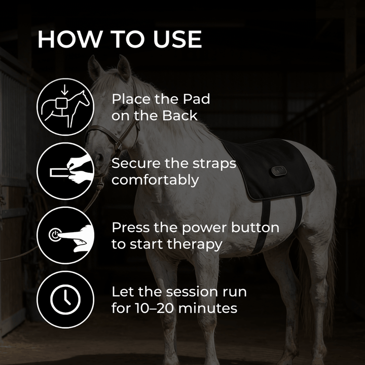 LED Red Light Therapy Back Wrap for Horses