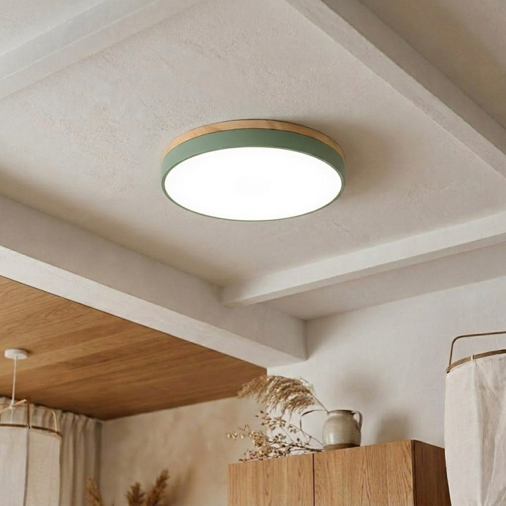 Round Disc Ceiling Light – Flat, Flush-Mounted Light