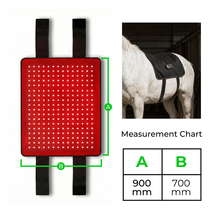 LED Red Light Therapy Back Wrap for Horses