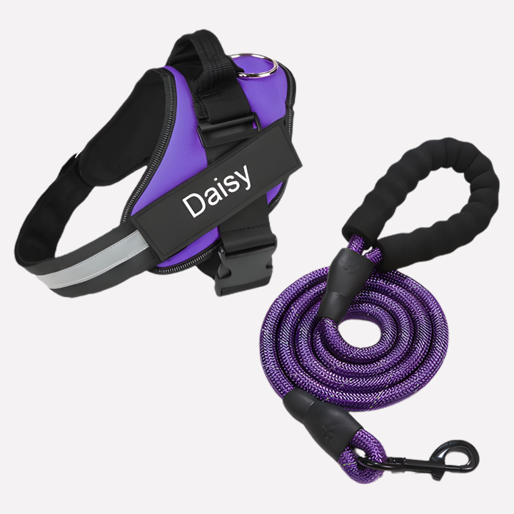 Personalized Anti‑Pull Dog Harness