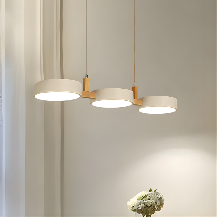 Modern Metal Ceiling Light
