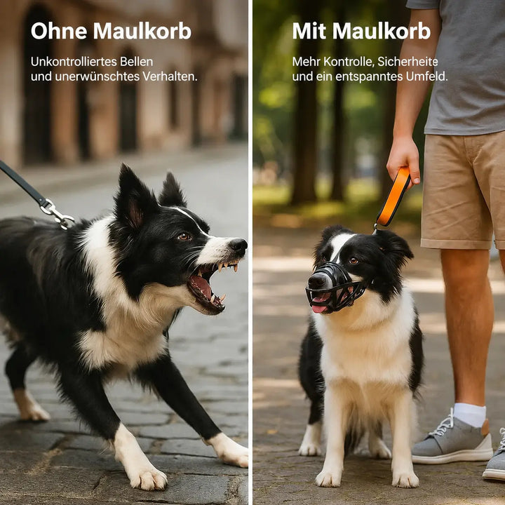 Dog Muzzle | Breathable & Adjustable for Training and Daily Use