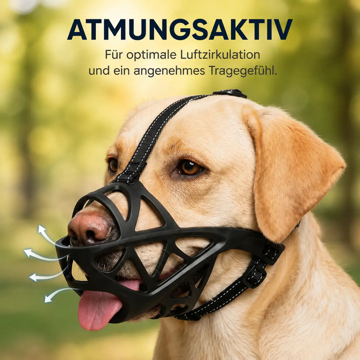 Dog Muzzle | Breathable & Adjustable for Training and Daily Use