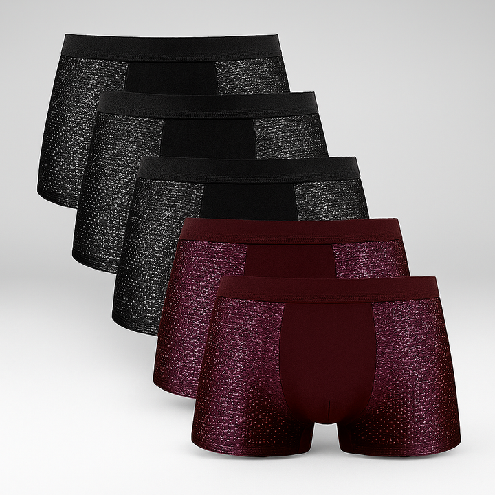 Men’s Mesh Boxer Shorts 5Pack
