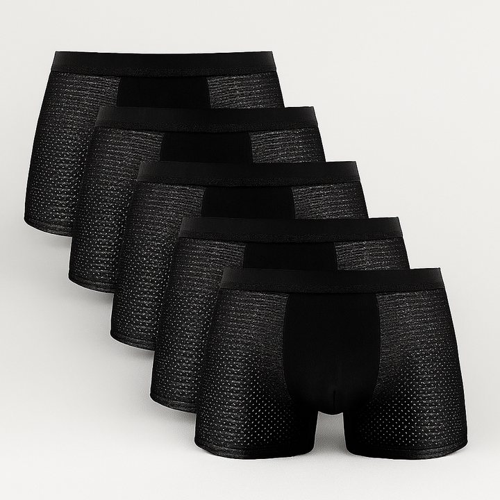 Men’s Mesh Boxer Shorts 5Pack