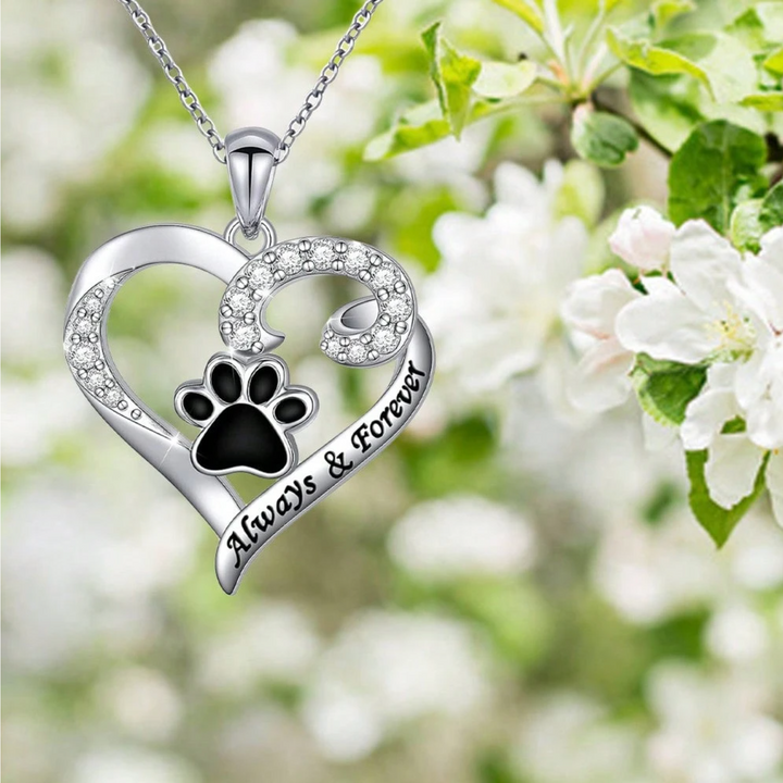 Dog Paw Necklace – Heart Design in Stainless Steel with Cubic Zirconia