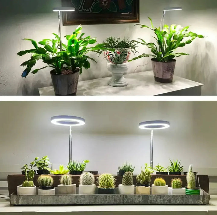 Full-spectrum LED grow light with timer and dimmer