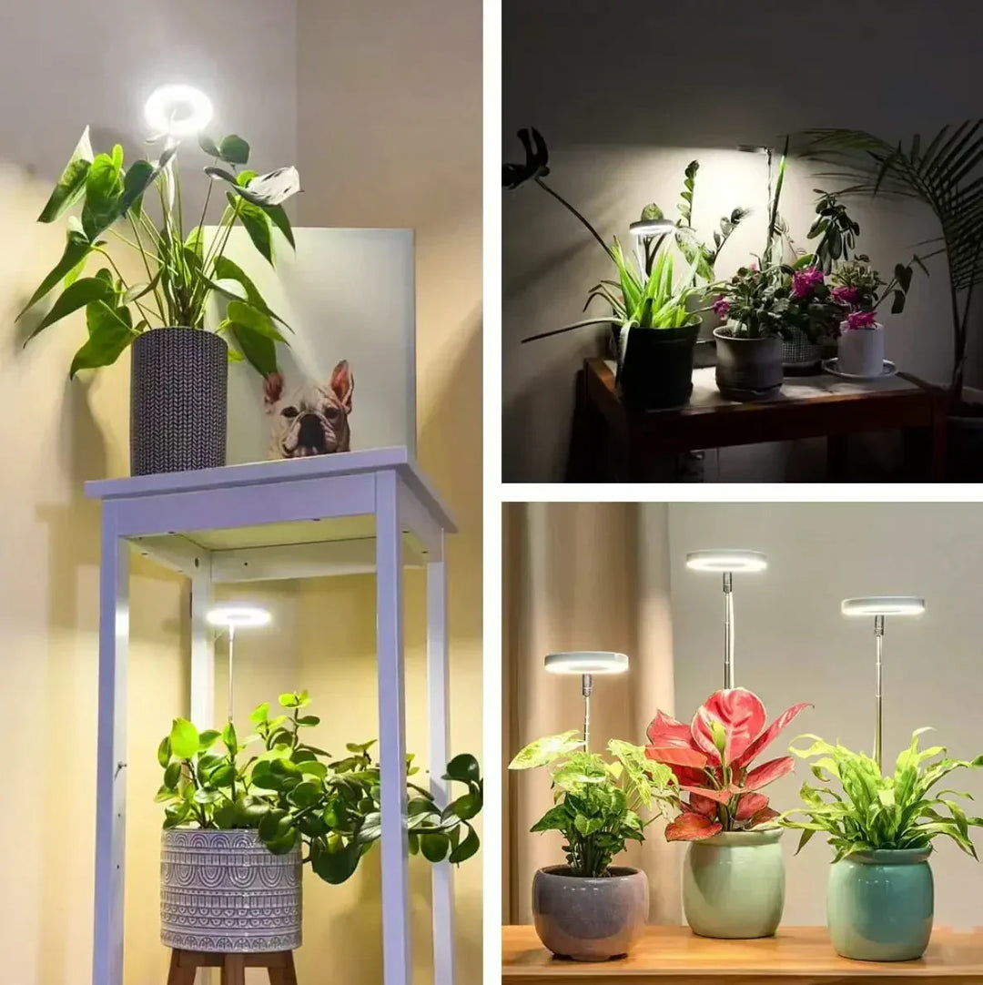 Full-Spectrum LED Plant Light with Timer and Dimming Function