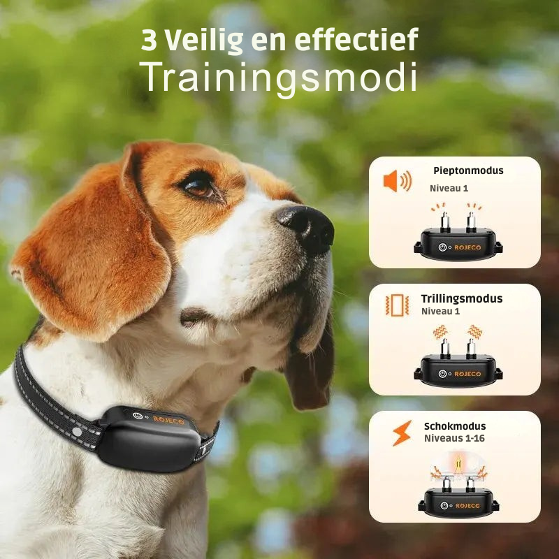 ProTrain – Rechargeable, Waterproof Dog Training Collar