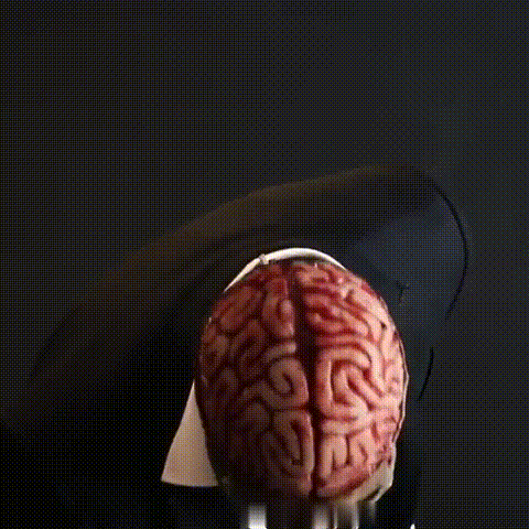 Realistic Skeleton Halloween Mask with Brains for Adults