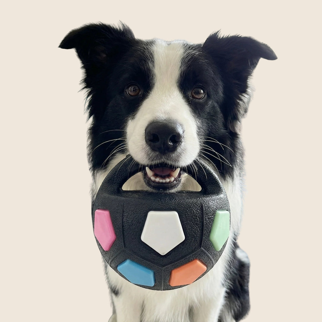 Indestructible dog ball for strong chewers