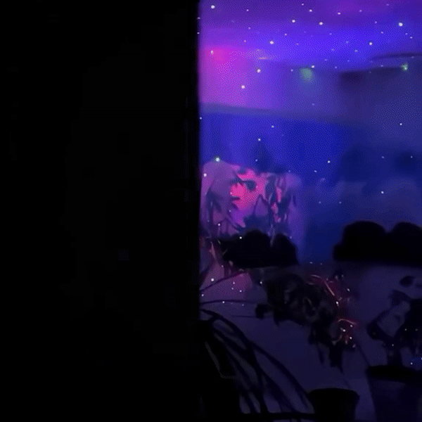 Astronaut Galaxy Projector