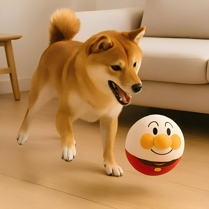 Interactive Dog Toy - Bouncing Play Ball, Helps Prevent Destructive Behavior