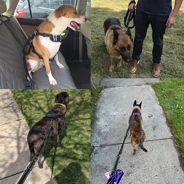 Adjustable Bungee Dog Leash – Shock-Absorbing and Reflective for Large Dogs