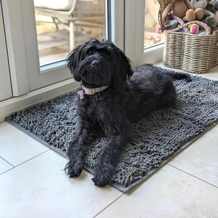Absorbent non-slip dog door mat for muddy paws