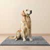Absorbent non-slip dog door mat for muddy paws