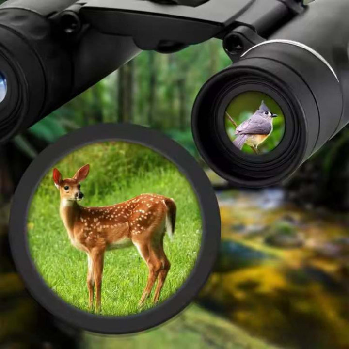 EagleEye 40x22 HD Long - Range Binocular Bird Watching - Binocular Bird Watching - Wild Eye Vision