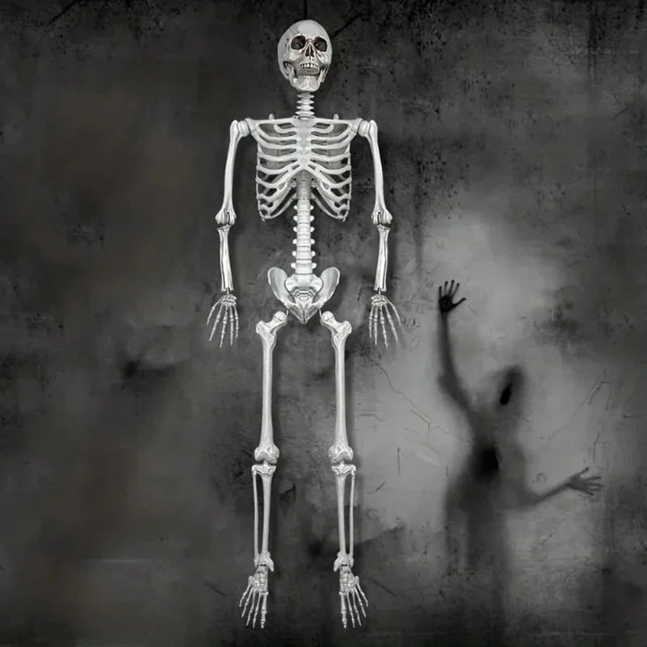 Halloween Skeleton Decoration Life Size Poseable Articulated Prop for Outdoor Yard and Party Display