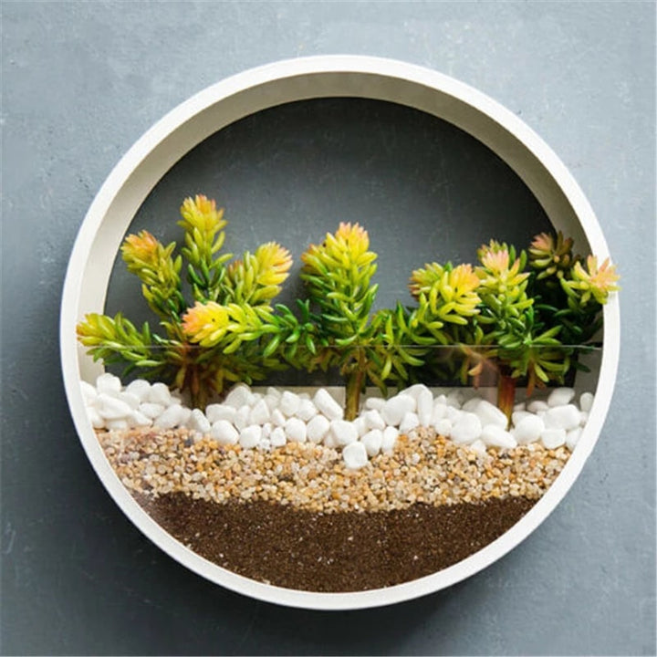 Hanging Wall Planter with Clear Front Panel for Succulents and Indoor Plants Vertical
