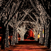 17 M 100 LED Fairy Light String