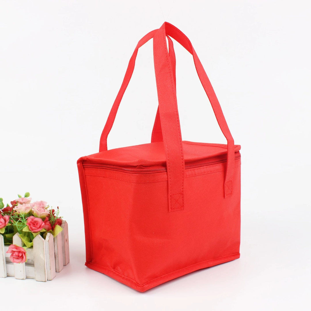 Insulated Lunch Bag Cooler with Thermal Box Zippered Tote Carrier with Dual Handles