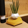 Levitating Flower Pot and Planter with Geometric Hexagonal Base for Indoor Plants