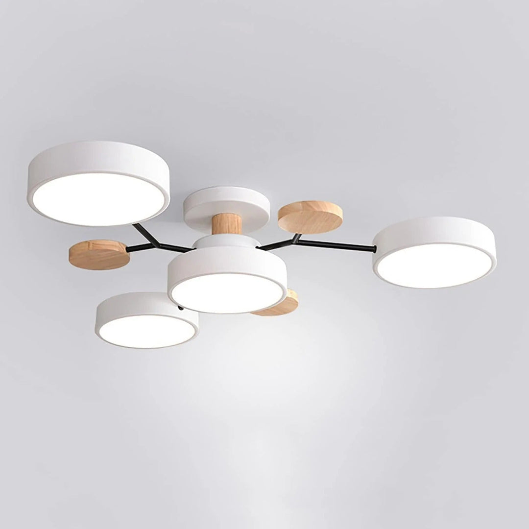 Modern LED Chandelier for the Living Room