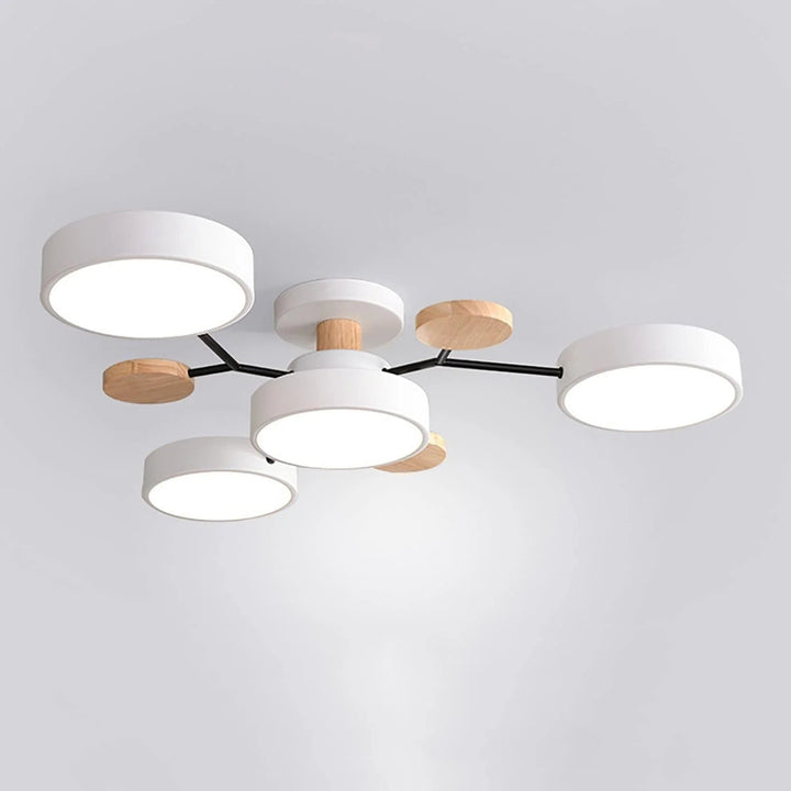 Modern LED Chandelier for the Living Room