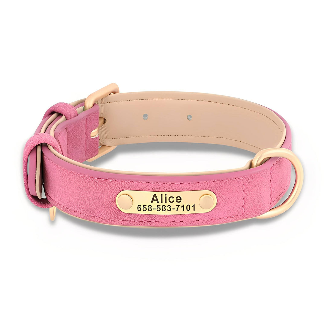 Engraved Leather Dog Collar with Personalized Nameplate