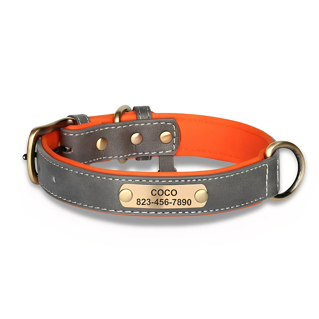 Engraved Leather Dog Collar with Personalized Nameplate