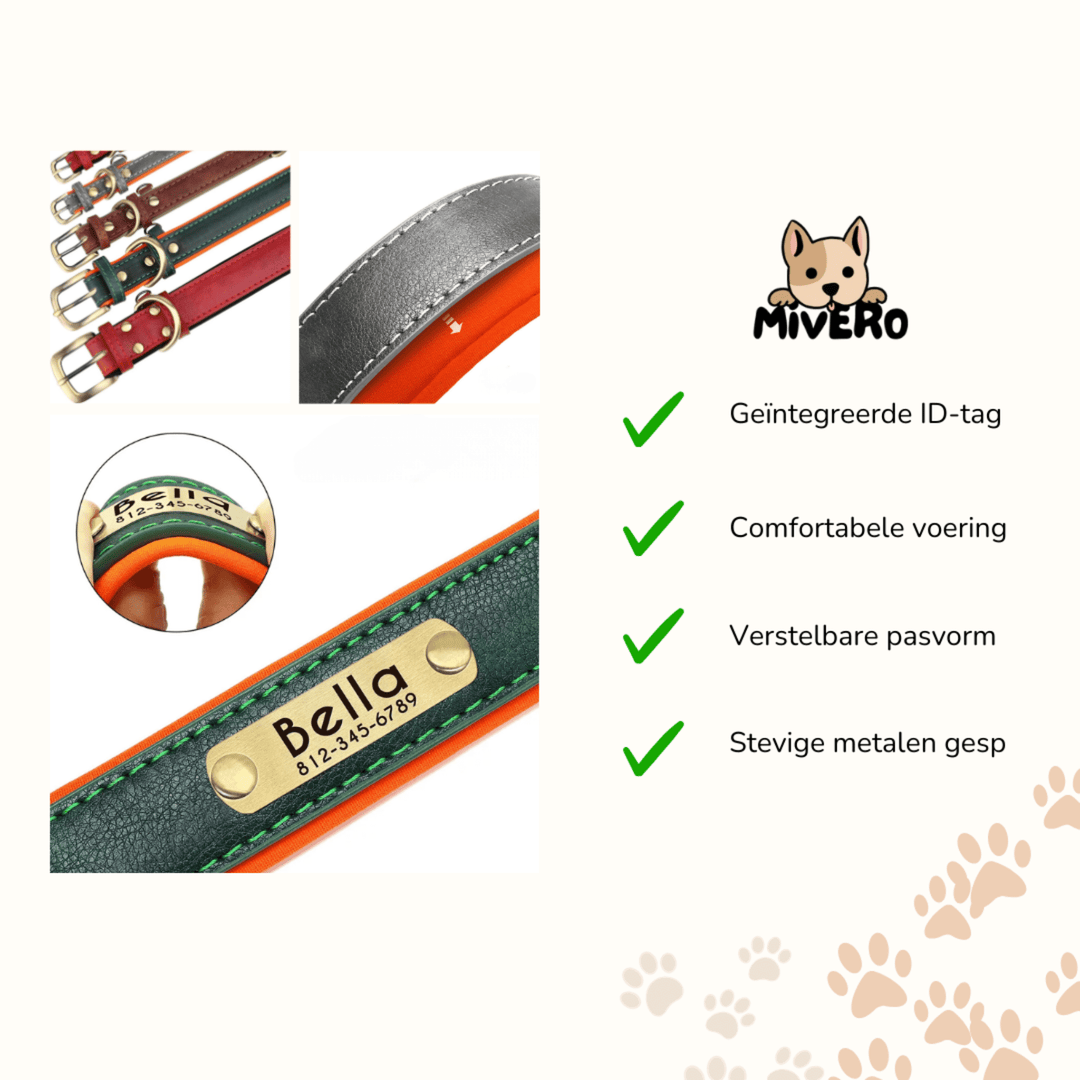 Engraved Leather Dog Collar with Personalized Nameplate