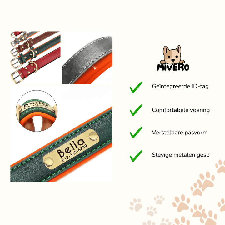Engraved Leather Dog Collar with Personalized Nameplate
