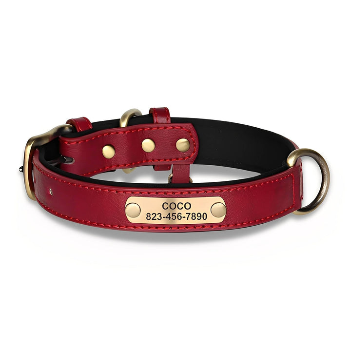 Engraved Leather Dog Collar with Personalized Nameplate