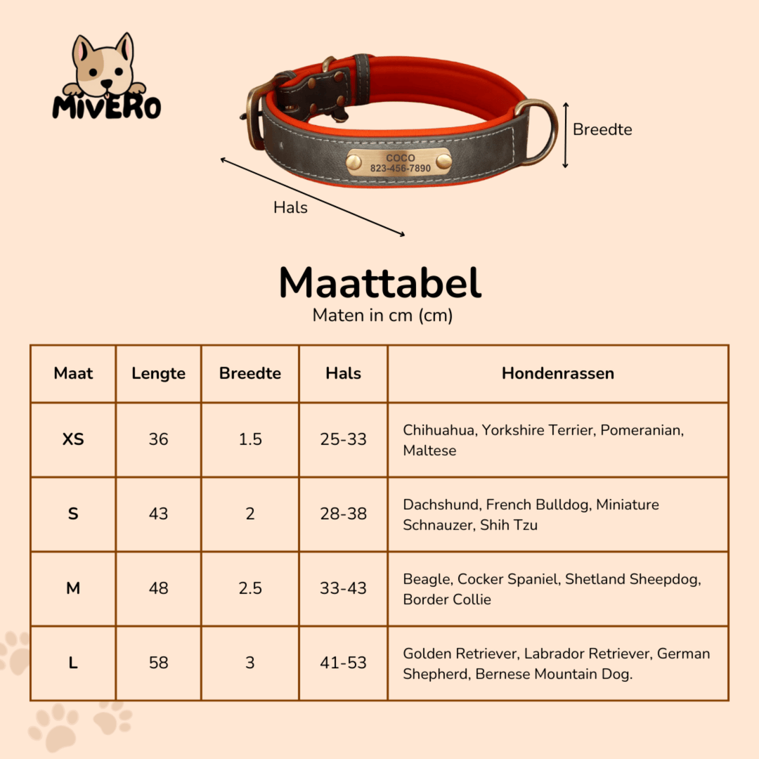 Engraved Leather Dog Collar with Personalized Nameplate