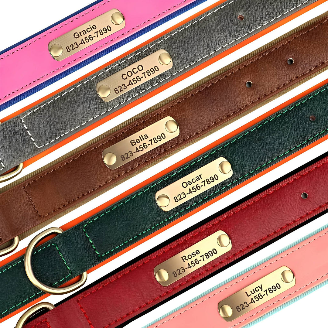 Engraved Leather Dog Collar with Personalized Nameplate