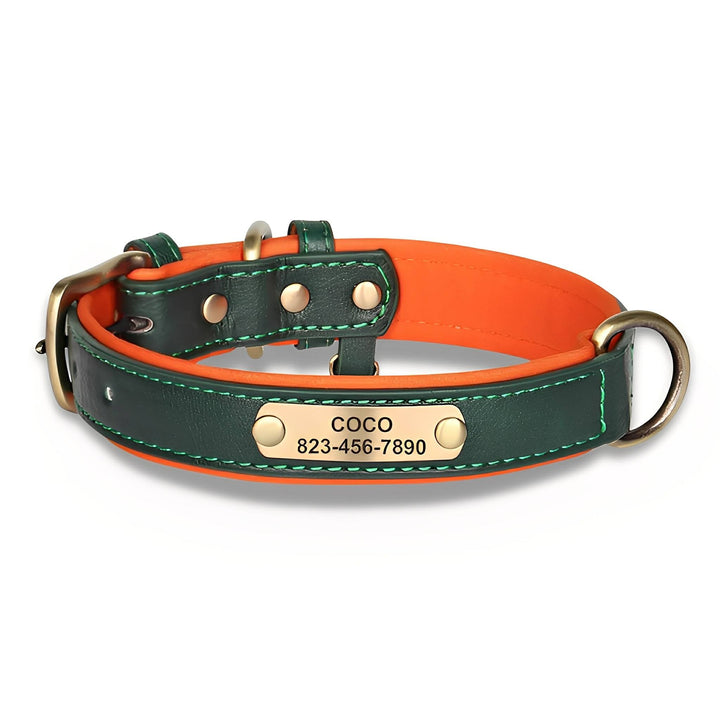 Engraved Leather Dog Collar with Personalized Nameplate