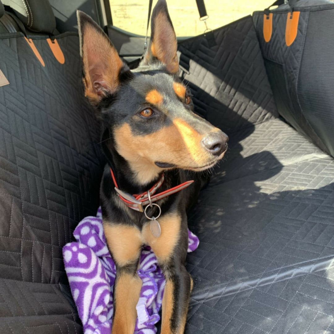 Waterproof Dog Back Seat Extender with Rigid Base and Memory Foam Bed