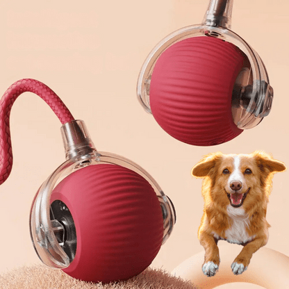 ChaseBall Interactive Chase Toy for Dogs and Cats - LED, USB