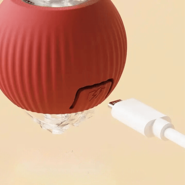 ChaseBall Interactive Chase Toy for Dogs and Cats - LED, USB