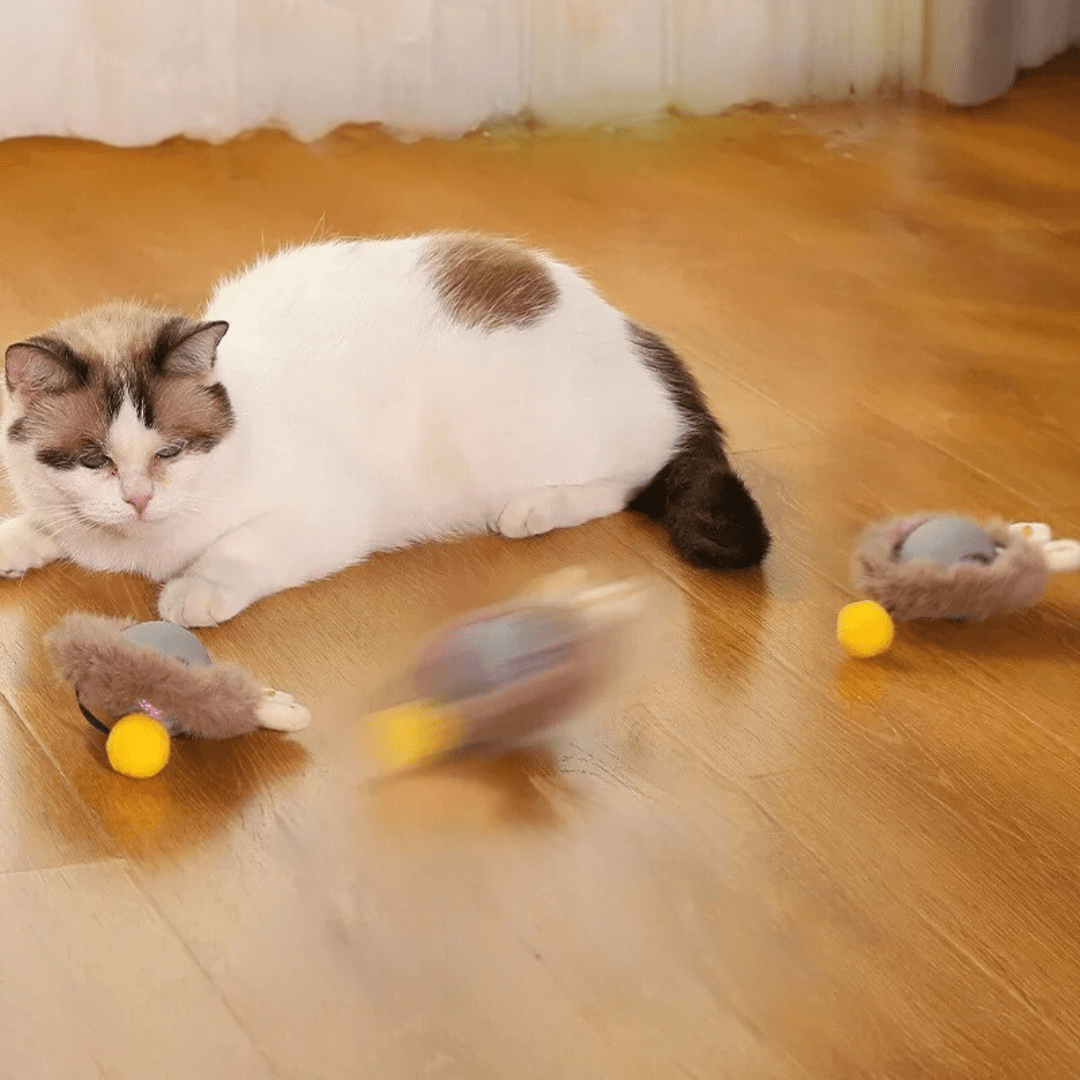 ChaseBall Interactive Chase Toy for Dogs and Cats - LED, USB