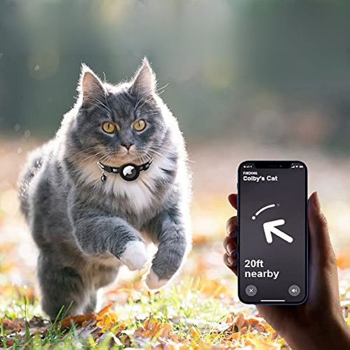 GPS Cat Collar with Reflective Design