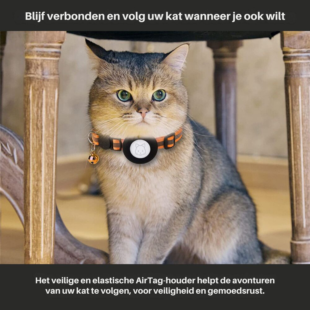 GPS Cat Collar with Reflective Design