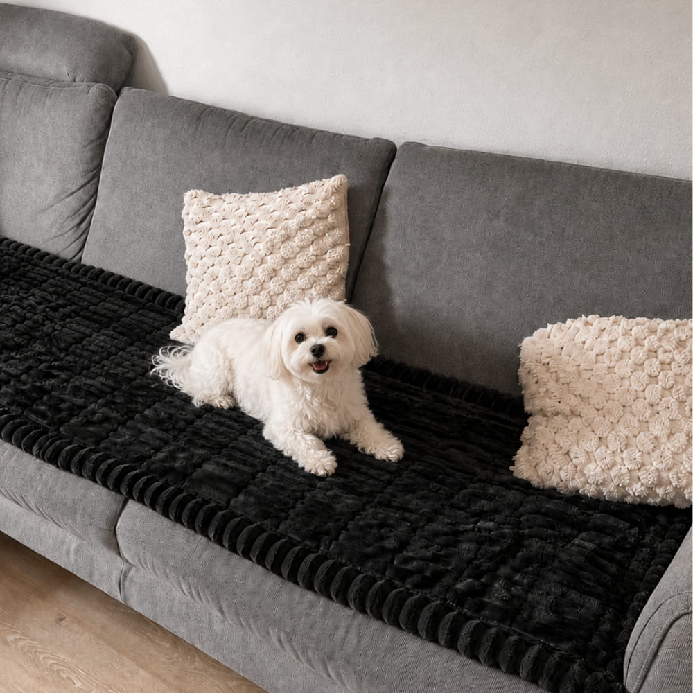 Brittany Sofa Cover — Water-Repellent Blanket for Dogs and Cats