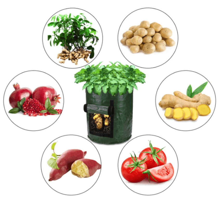 Grow potatoes at home: smart potato grow bag for patio and balcony